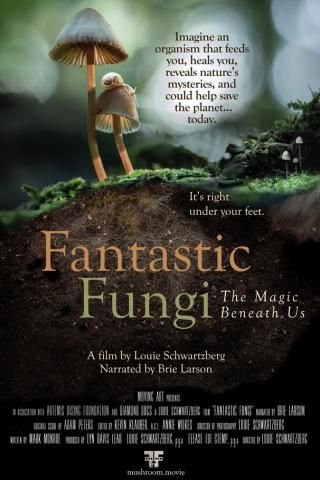 GEANNULEERD: Fantastic Fungi - Film - Gent
