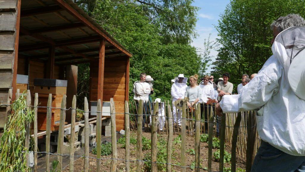 Formation apiculture naturelle en Wallonie - Pratique